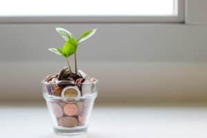 כוס עם מטבעות בצמיחה - אילוסטרציה לחיסכון כספי